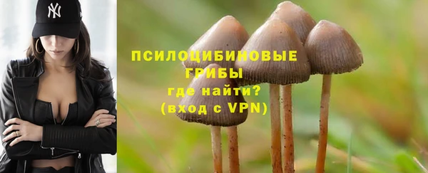 соль курить ск Касимов